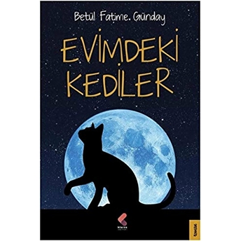 Evimdeki Kediler Betül Fatime Günday