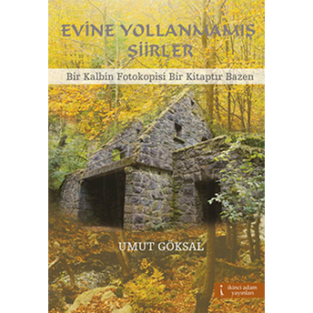 Evine Yollanmamış Şiirler-Umut Göksal