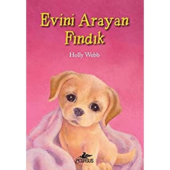 Evini Arayan Fındık Holly Webb