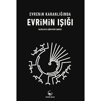 Evrenin Karanlığında Evrimin Işığı Kolektif