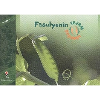 Fasulyenin Yaşam Döngüsü David M. Schwartz