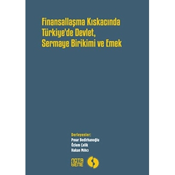 Finansallaşma Kıskancında Türkiye'de Devlet Sermaye Birikimi Ve Emek Kolektif