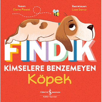 Fındık Kimselere Benzemeyen Köpek Claire Mowat