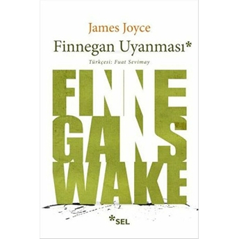 Finnegan Uyanması James Joyce