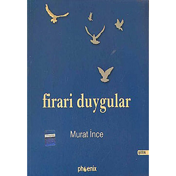 Firari Duygular Murat Ince