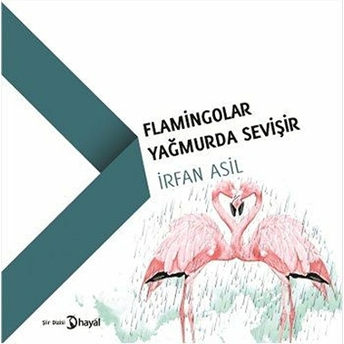 Flamingolar Yağmurda Sevişir Irfan Asil