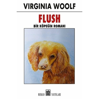 Flush Bir Köpeğin Romanı Virginia Woolf