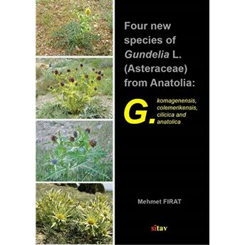 Four New Species Of Gundelia L. (Asteraceae) From Anatolia Mehmet Fırat