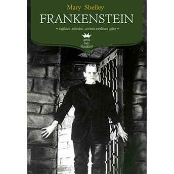 Frankenstein Mary Shelley