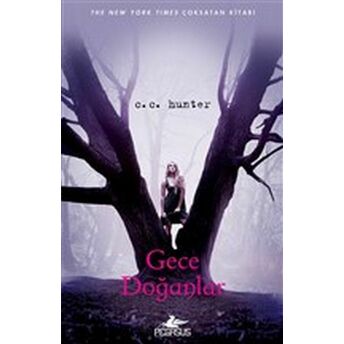 Gece Doğanlar - Gölge Şelalesi 1. Kitap C.c. Hunter