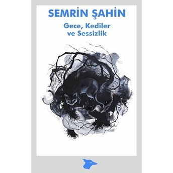 Gece, Kediler Ve Sessizlik Semrin Şahin