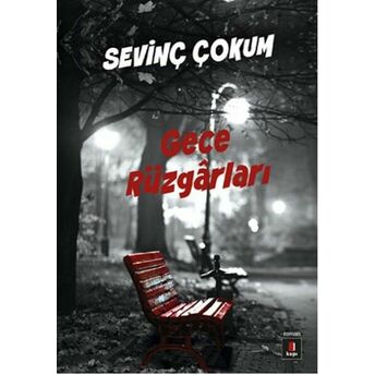 Gece Rüzgarları Sevinç Çokum