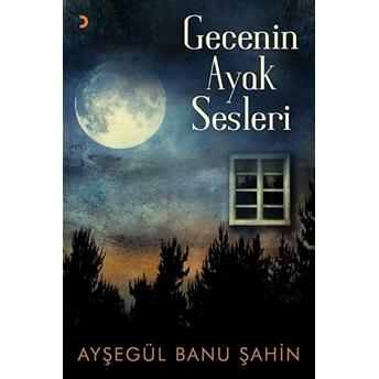 Gecenin Ayak Sesleri - Ayşegül Banu Şahin