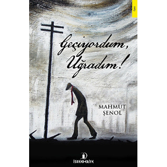 Geçiyordum, Uğradım! Mahmut Şenol