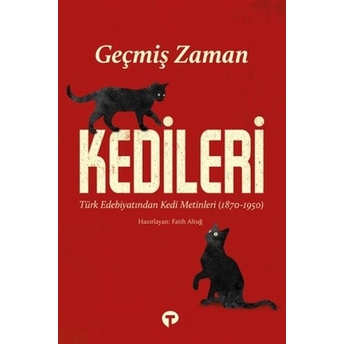 Geçmiş Zaman Kedileri Kolektif