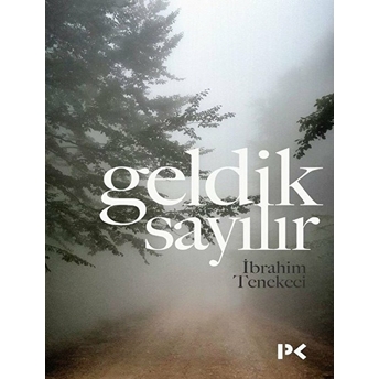 Geldik Sayılır Ibrahim Tenekeci