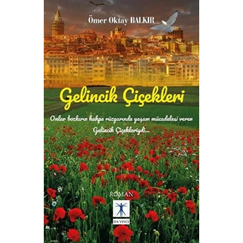 Gelincik Çiçekleri - Ömer Oktay Balkır - Ömer Oktay Balkır