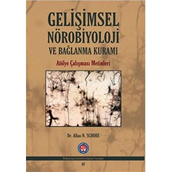 Gelişimsel Nörobiyoloji Ve Bağlanma Kuramı - Allan N. Schore