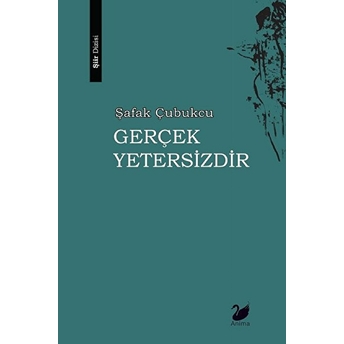 Gerçek Yetersizdir - Şafak Çubukcu