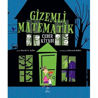 Gizemli Matematik - Cebir Kitabı David A. Adler