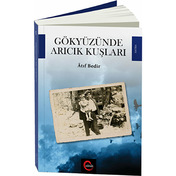 Gökyüzünde Arıcık Kuşları Atıf Bedir