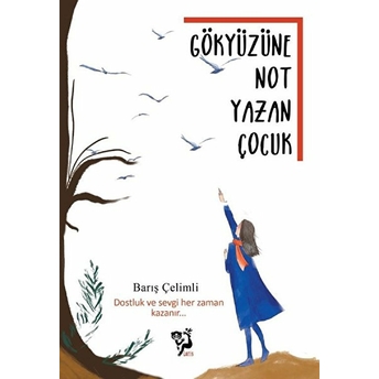 Gökyüzüne Not Yazan Çocuk - Barış Çelimli