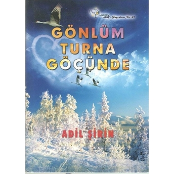 Gönlüm Turna Göçünde