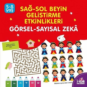 Görsel Sayısal Zeka - Sağ-Sol Beyin Geliştirme Etkinlikleri