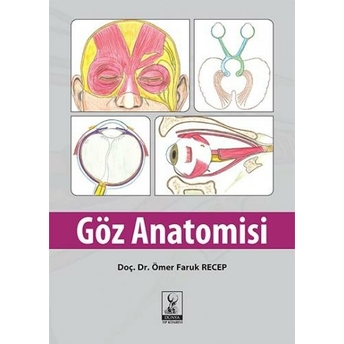 Göz Anatomisi Ömer Faruk Recep