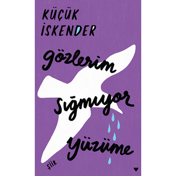 Gözlerim Sığmıyor Yüzüme - Ciltli Küçük Iskender