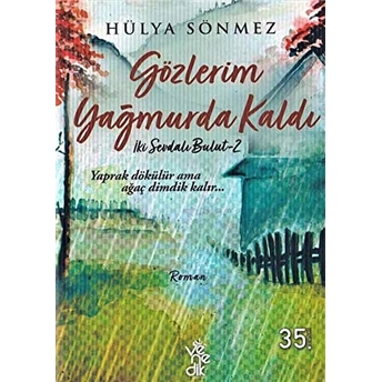 Gözlerim Yağmurda Kaldı Hülya Sönmez