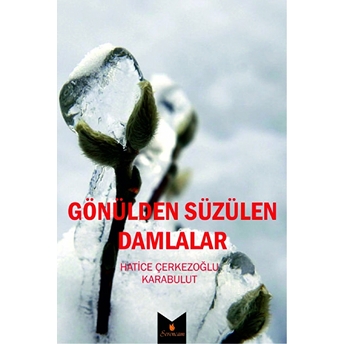 Gözülden Süzülen Damlalar Hatice Karabulut Çerkezoğlu