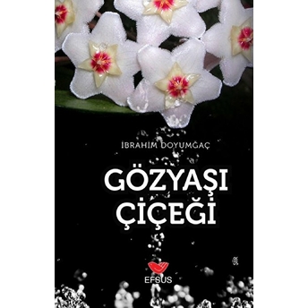 Gözyaşı Çiçeği Ibrahim Doyumgaç