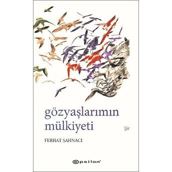 Gözyaşlarımın Mülkiyeti Ferhat Şahnacı