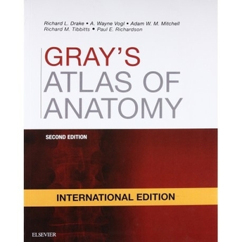 Gray'S Atlas Of Anatomy International Edition, 2Nd Edition Richard Drake