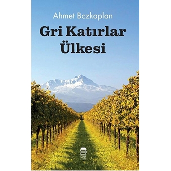 Gri Katırlar Ülkesi - Ahmet Bozkaplan