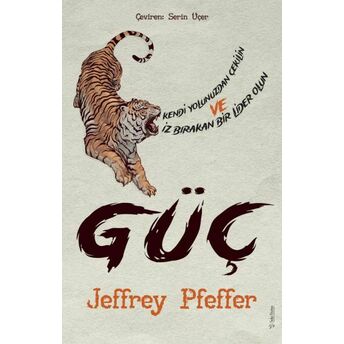 Güç Jeffrey Pfeffer