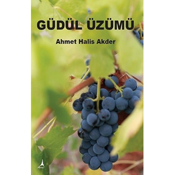 Güdül Üzümü