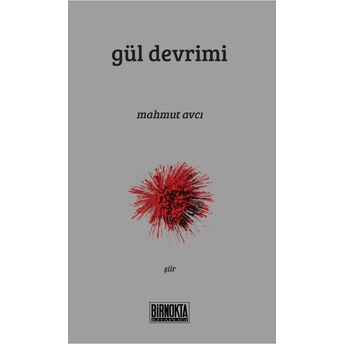 Gül Devrimi Mahmut Avcı