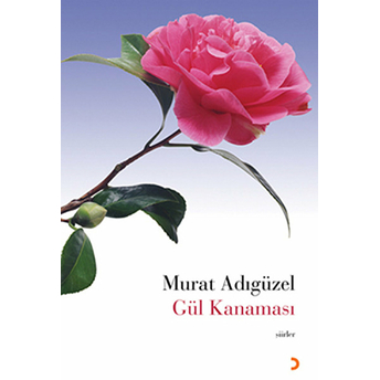 Gül Kanaması-Murat Adıgüzel