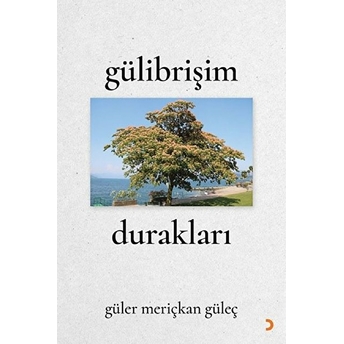 Gülibrişim Durakları