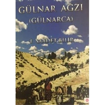 Gülnar Ağzı