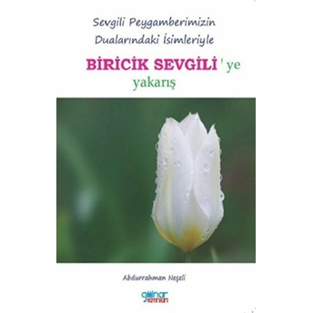 Gülnar Yayınları Biricik Sevgili - Abdurrahman Neşeli