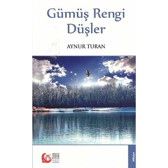 Gümüş Rengi Düşler