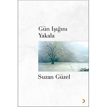 Gün Işığını Yakala