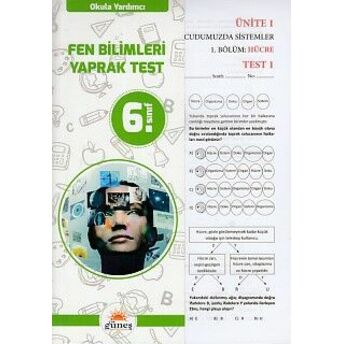 Güneş 6. Sınıf Fen Bilimleri Yaprak Test Kolektif