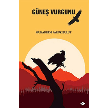 Güneş Vurgunu