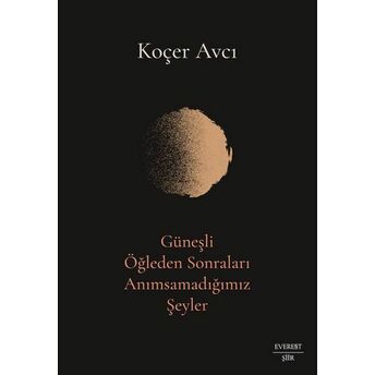 Güneşli Öğleden Sonraları Anımsamadığımız Şeyler Koçer Avcı