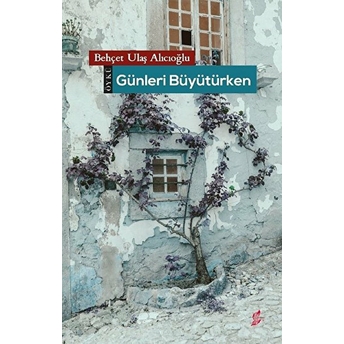 Günleri Büyütürken - Behçet Ulaş Alıcıoğlu