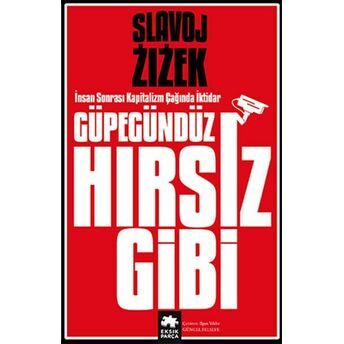 Güpegündüz Hırsız Gibi Slavoj Zizek